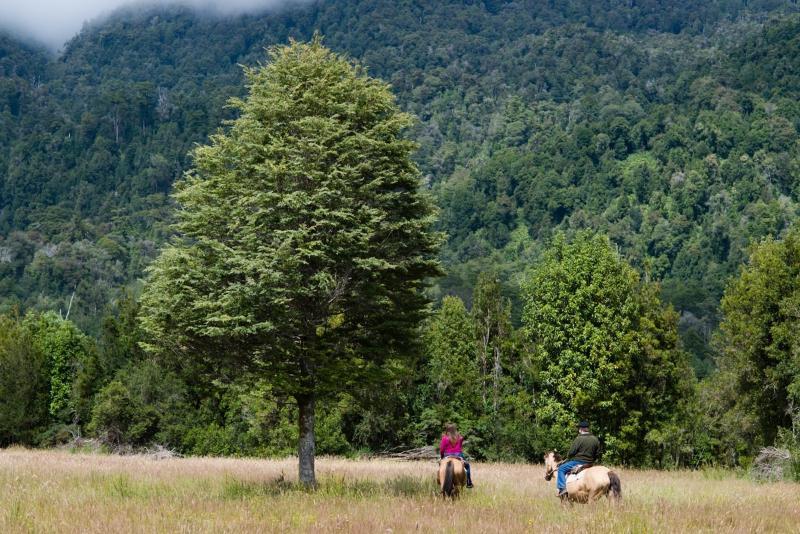 Yelcho En La Patagonia Coyhaique Ngoại thất bức ảnh